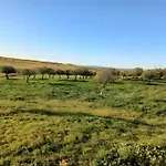 Apartment Oliveiras