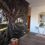 Oliveiras Apartment *