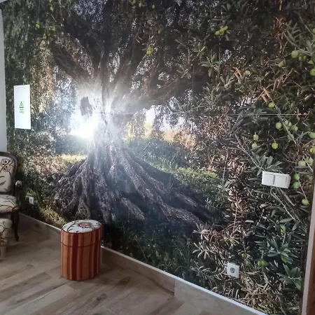 Oliveiras Holiday home Idanha-a-Nova
