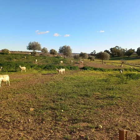 Holiday home Oliveiras
