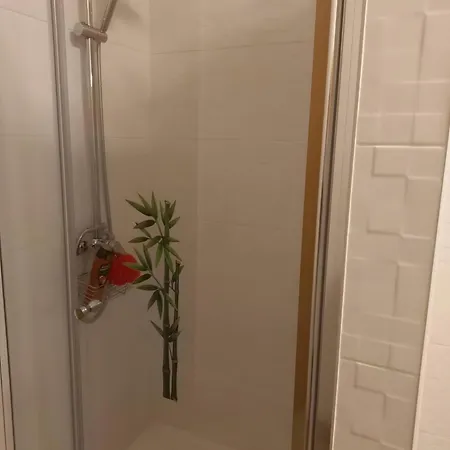 Oliveiras Idanha-a-Nova