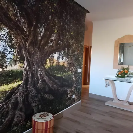 Oliveiras * Idanha-a-Nova