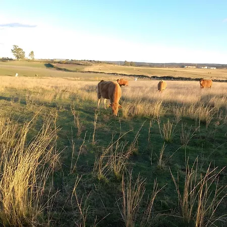 Appartement Oliveiras Idanha-a-Nova