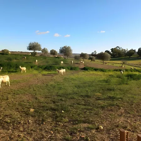 Oliveiras Appartement *