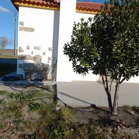 Oliveiras Idanha-a-Nova
