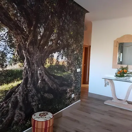 Oliveiras Apartment *