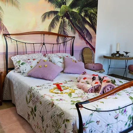 Oliveiras Apartment