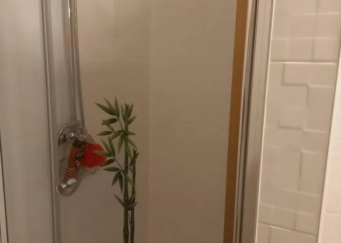 Oliveiras Idanha-a-Nova