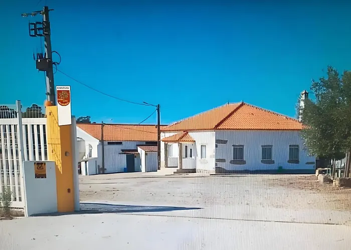 Oliveiras Idanha-a-Nova