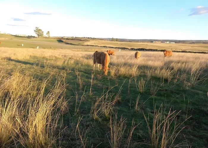 Lejlighed Oliveiras Idanha-a-Nova